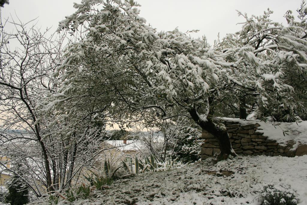 Les Amandiers Bed and Breakfast Calvisson Exterior foto