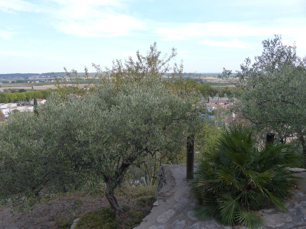 Les Amandiers Bed and Breakfast Calvisson Exterior foto