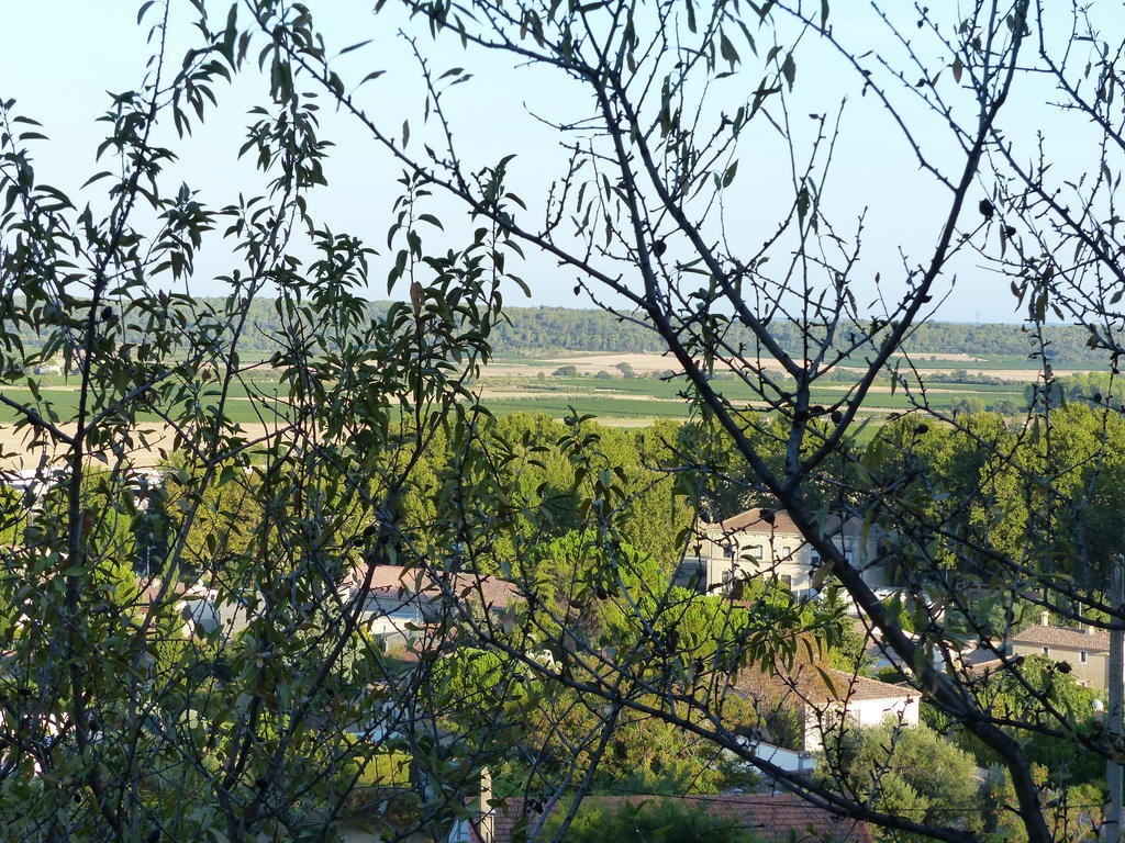 Les Amandiers Bed and Breakfast Calvisson Exterior foto